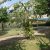 campingyuste (55)